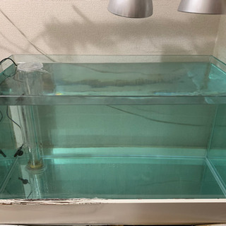 【取り引き終了】オーバーフロー水槽セット