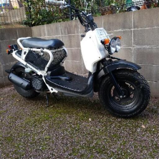 ズーマー！白ってめずらしい