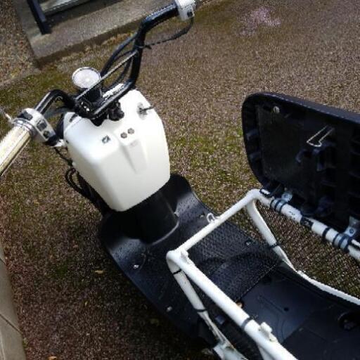 ホンダ ズーマー 珍しいホワイト | mujib100blog.gov.bd