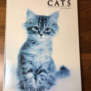 取引中！大きなネコの写真集　CAT  アリスブックランド