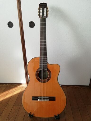 エレガット ARIA A-35CE pn-tebo.go.id