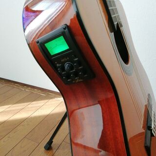 エレガット　ARIA　A-35CE