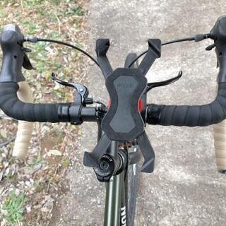 レユニオンコーレル(485)-k