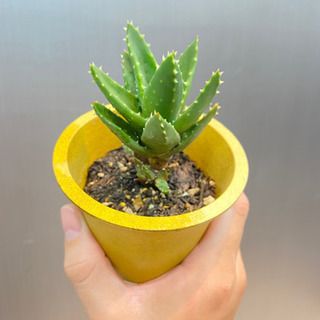 中古不夜城が無料 格安で買える ジモティー