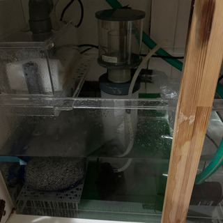 【取り引き終了】オーバーフロー水槽セット