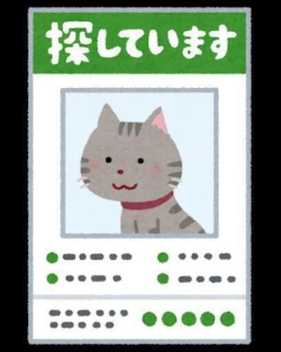 飼い猫が脱走して困ってる方に捕獲器貸します ピーチクパー 南松本の手伝いたい 助けたいの助け合い ジモティー