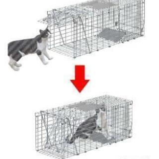 飼い猫が脱走して困ってる方に捕獲器貸します☆ (ピーチクパー) 南松本 