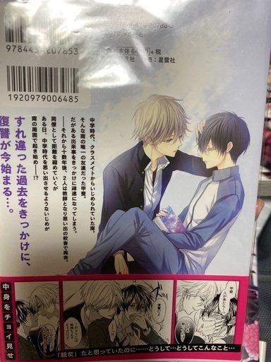 Bl 漫画ボーイズラブコミック アーサー 菖蒲池のマンガ コミック アニメの中古あげます 譲ります ジモティーで不用品の処分