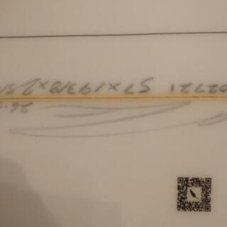 サーフボード　チリ　レアバード