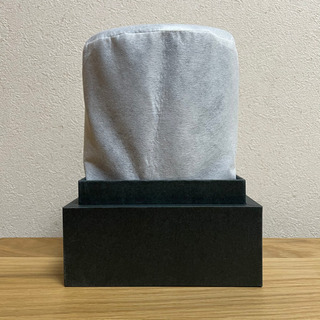 BOSE HOME SPEAKER 300