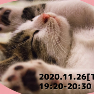 【男性満席】11/26  ネコ好きさんいらっしゃーい♪ 婚活Pa...