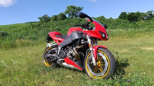 BUELL XB12R 2008年式 好調
