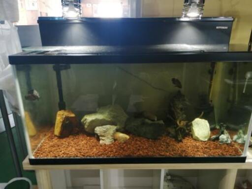 90cm水槽セット