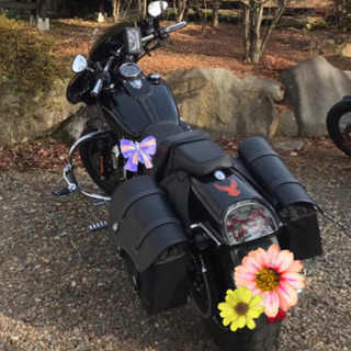 行先決まりました！