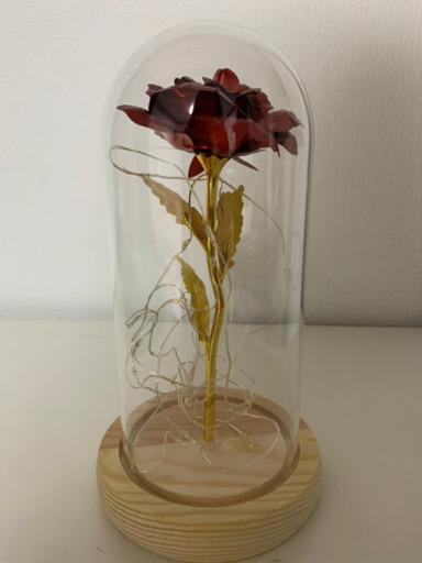 美女と野獣 ガラスの薔薇 Arisa 鶴ヶ峰のその他の中古あげます 譲ります ジモティーで不用品の処分 美女と野獣 ガラスの薔薇 Arisa 鶴ヶ峰のその他の中古あげます 譲ります ジモティーで不用品の処分