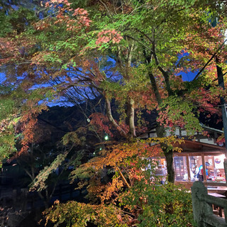 【受付終了】12月20日に武甲山に登りませんか？ − 埼玉県