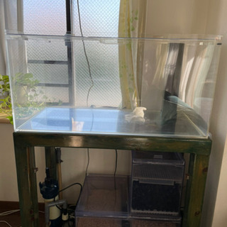 値下げしました！海水魚フルセット