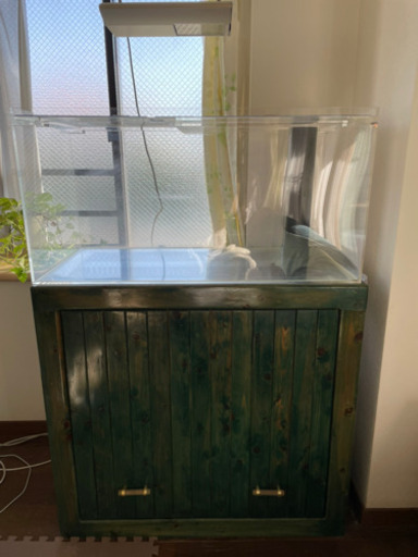 値下げしました！海水魚フルセット