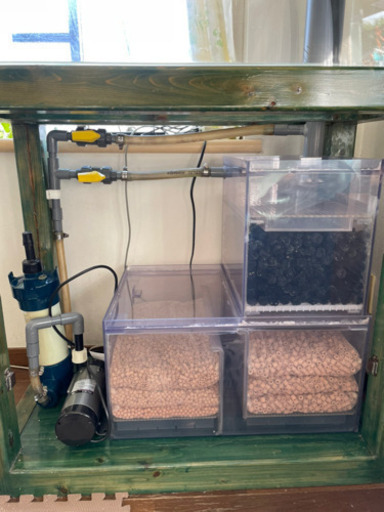 値下げしました‼️]海水魚 水槽一式 30000円