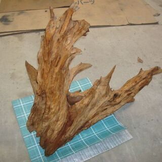 流木　大型　アンティーク　乾燥１０年