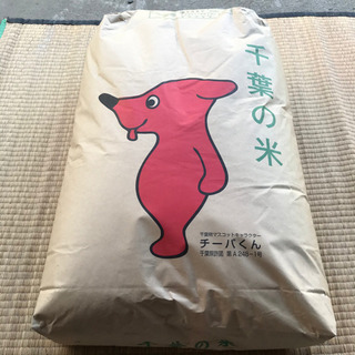 【新米】千葉県木更津産　ふさおとめ　新米30kg  在庫あります(1月23日現在)ぜひお問い合わせください。