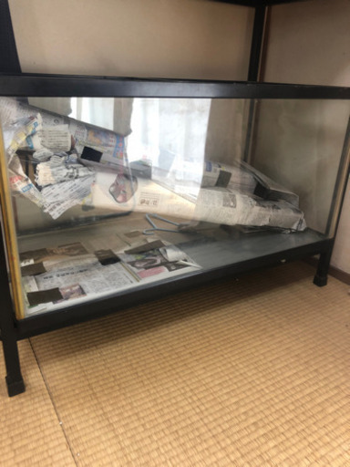90センチ水槽今日中での引き取りのみ！再投稿