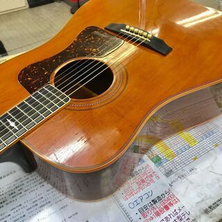 GUILD D60 ギルド アコースティックギター