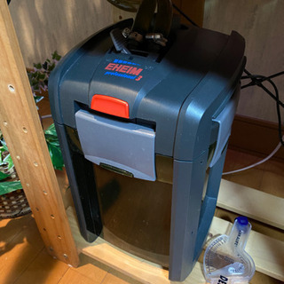 海水水槽セット 生体込み ハマクマノミ バイカラー