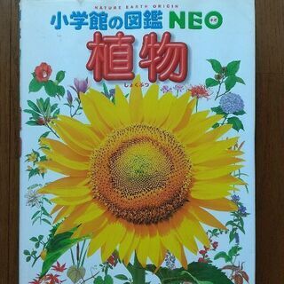 小学館の図鑑NEO　植物