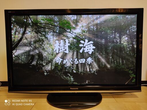 値下げ：パナソニック 録画機能付きプラズマテレビ TH-P50R1 です