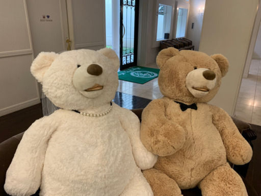 コストコクマ135cm クリーム色 ぽん 下地のおもちゃの中古あげます 譲ります ジモティーで不用品の処分 コストコクマ135cm クリーム色 ぽん 下地のおもちゃの中古あげます 譲ります ジモティーで不用品の処分