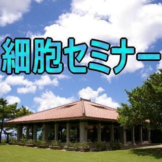 長寿県沖縄の皆様｜県別寿命ランクが36位へ急降下はなぜ？細胞科学...