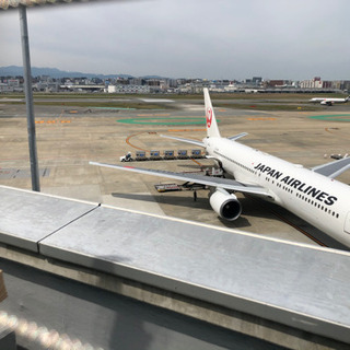 飛行機で輸送するくらい鮮度が命のモノ有りませんか？