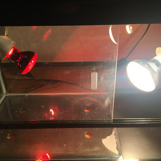 爬虫類ケージ 60×30×35cm　陸ガメに　直ぐに使えるフルセット　引取限定