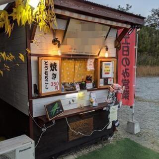 PRIMUS Njord 最終値下げになります。 2026年モデル Ninja ZX-4R 適合製品情報① | TRICK STAR 製品 | TRICK