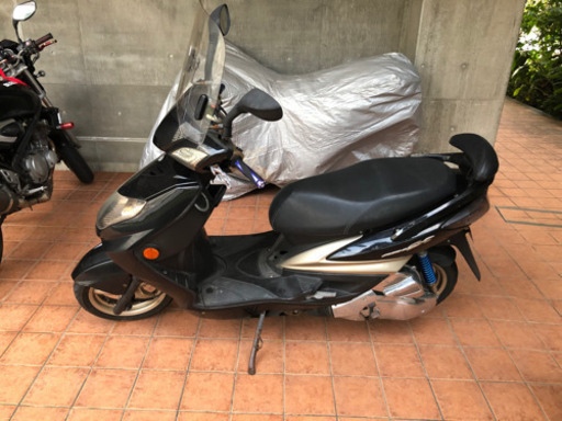 シグナス