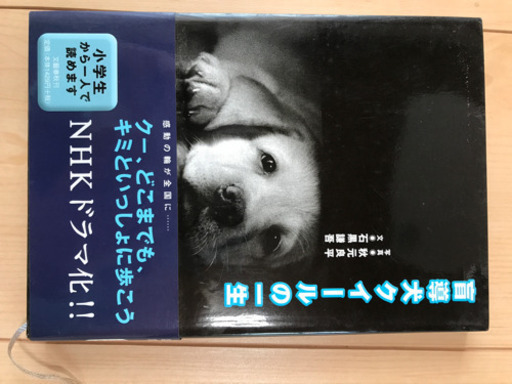 小説盲導犬クイールの一生 (ねこ) 芝山千代田の本/CD/DVDの中古 