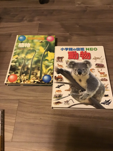 動物と植物の図鑑セット Pino 越中島の家具の中古あげます 譲ります ジモティーで不用品の処分