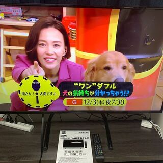 【引取限定】50V型 ULTRAHD 4K液晶テレビ 情熱価格 ...