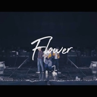 SEVENTEEN/Flower コピーダンスメンバー募集