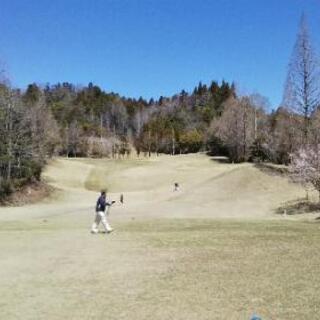 ゴルフ倶楽部大樹豊田コースで、水曜日、9ホールのハーフを一緒にラ...