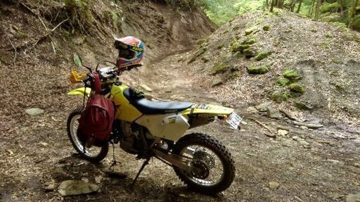 平日可能な方 オフロードバイクでの林道散策 山遊びなど シンヤ 市原のツーリングのメンバー募集 無料掲載の掲示板 ジモティー