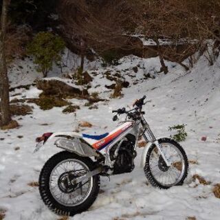 平日可能な方 オフロードバイクでの林道散策 山遊びなど シンヤ 市原のツーリングのメンバー募集 無料掲載の掲示板 ジモティー