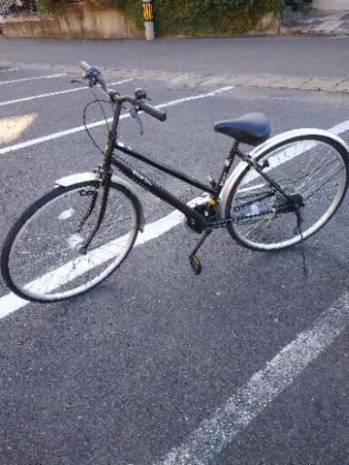 自転車入荷Free Time