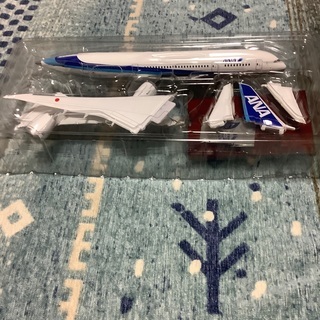 ANA 787便