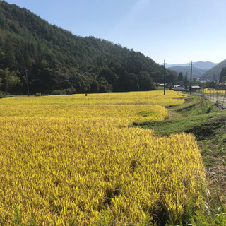 能勢のお米