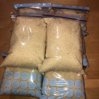 お米（ハツシモ）　10キロ