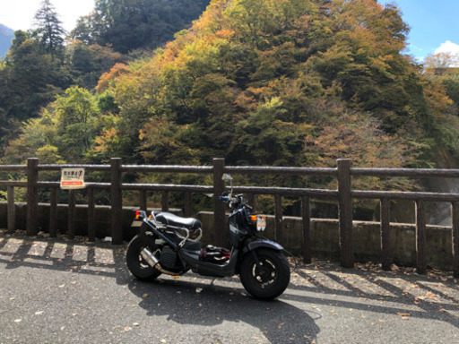 ホンダ ズーマー