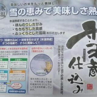 新潟産こしひかり　雪蔵氷温米　2kg×2袋