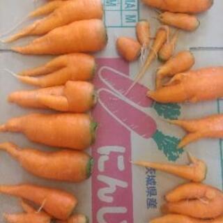 🥕訳あり人参箱詰め１０kg🥕